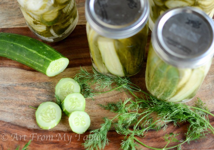 Jars of Overnight Pickles garnished garnished with fresh dill.