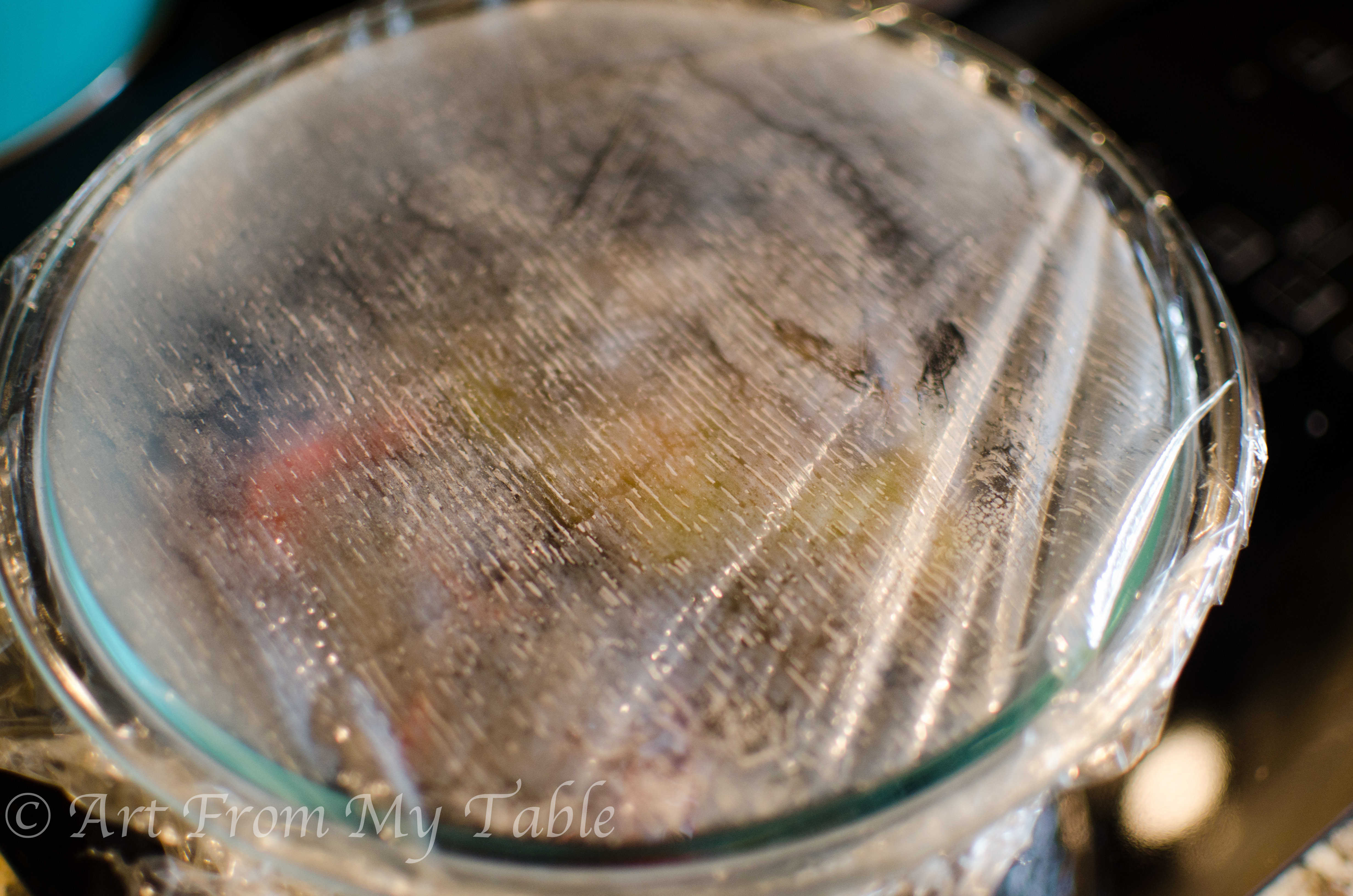 Charred veggies in a bowl covered with plastic wrap.