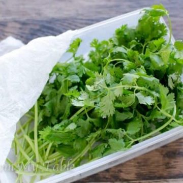keeping cilantro fresh