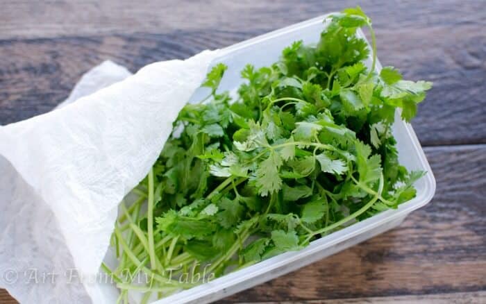 keeping cilantro fresh