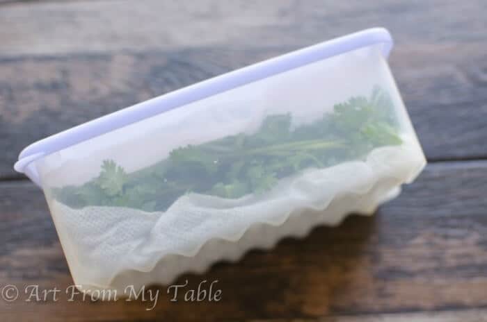 keeping cilantro fresh