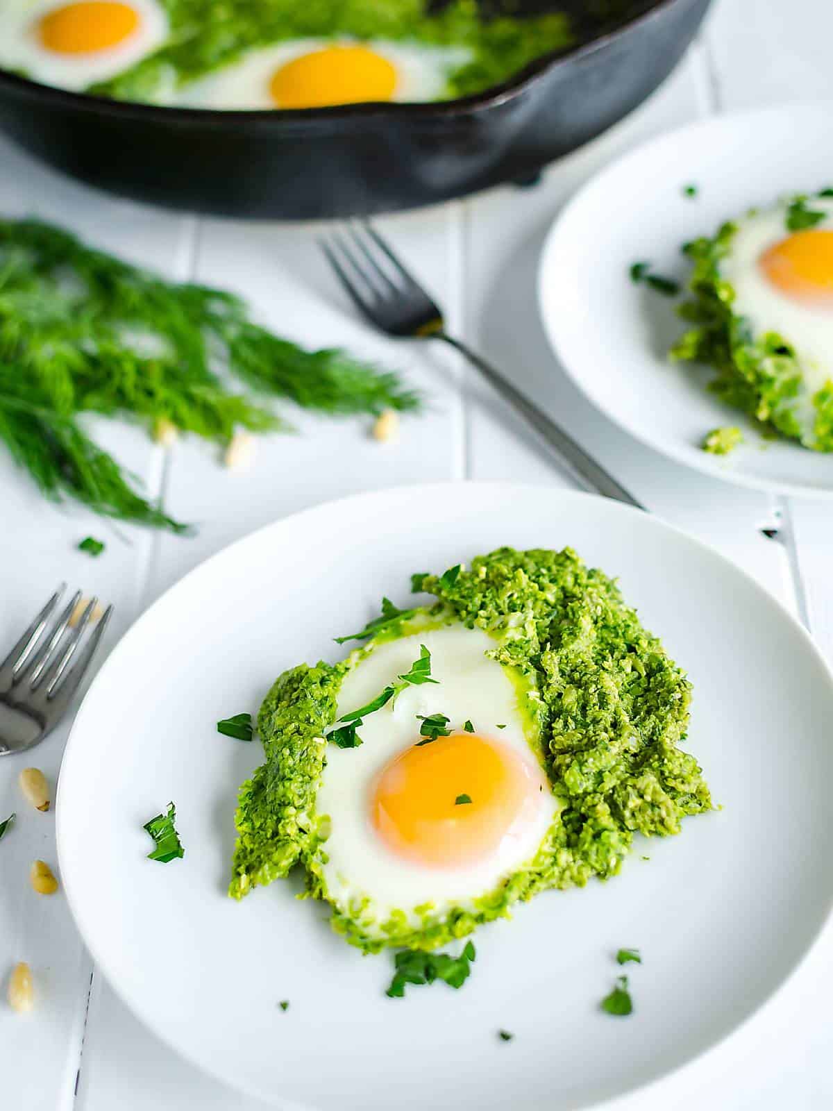 egg on top of green shakshuka on a white plate.