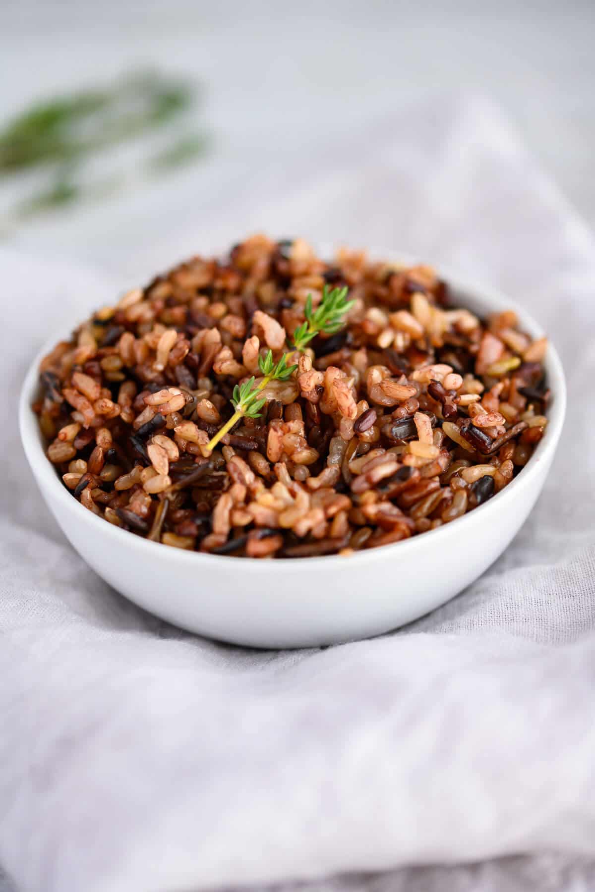 Instant Pot Wild Rice