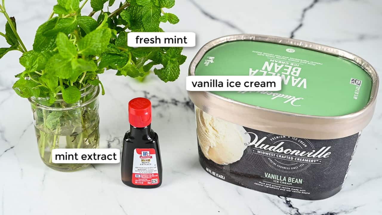 ingredients for homemade shamrock shake