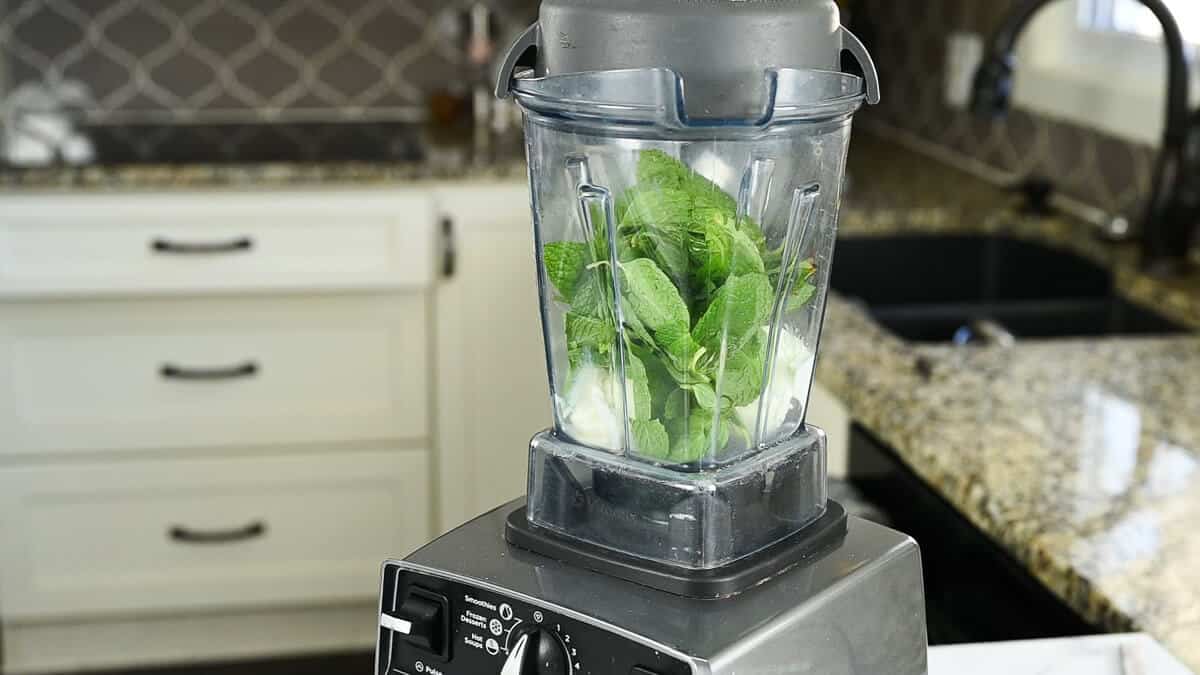 vanilla ice cream, fresh mint leaves in a blender