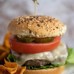 hamburger with cheese, lettuce, tomato and pickle on an onion bun