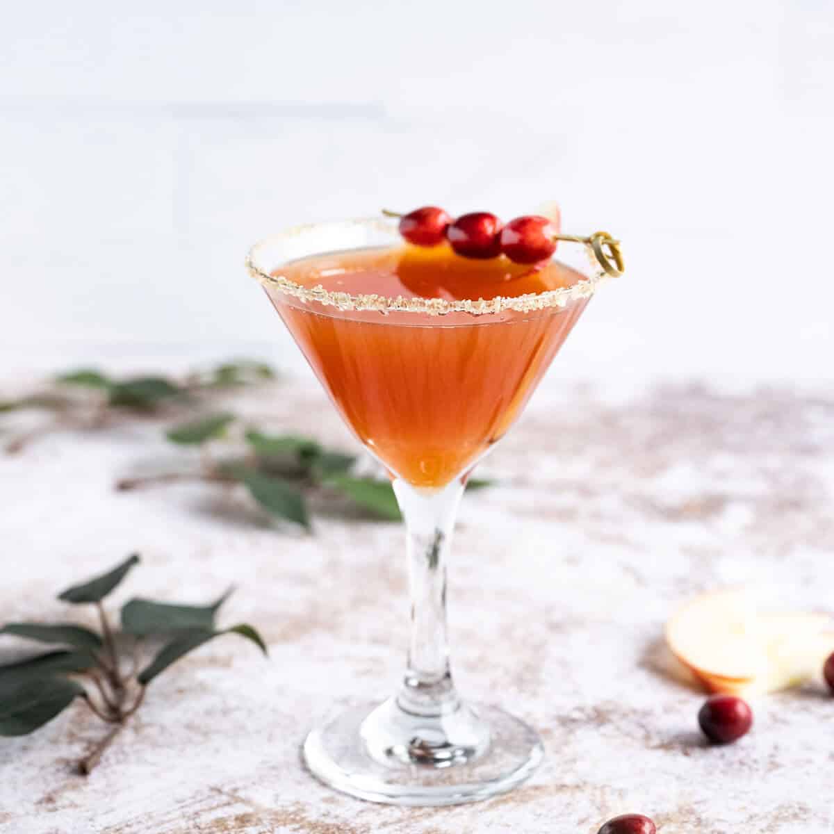 Apple Cider Mocktail