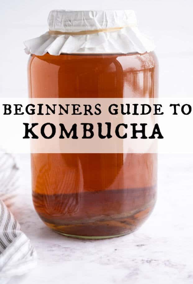 Gallon jar filled with homemade kombucha. The top of the jar is covered with a coffee filter secured by a rubber band. via @artfrommytable