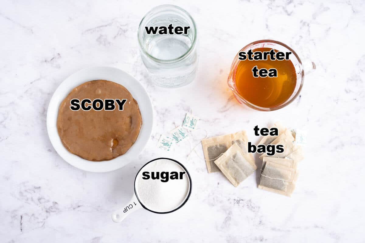 Ingredients needed to make kombucha at home.