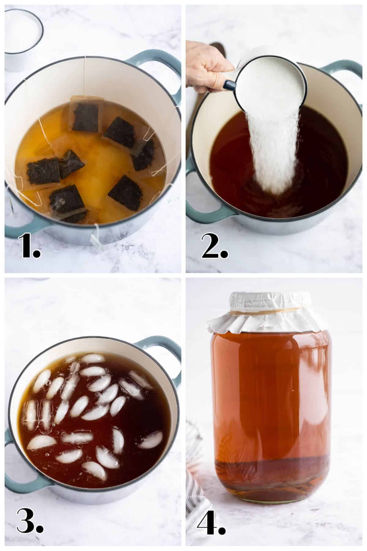 4 image collage showing the steps to make Kombucha tea
