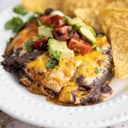 Warm black bean dip topped with melted cheese, cilantro, diced tomato and diced avocado, on a white plate with a side of tortilla chips.