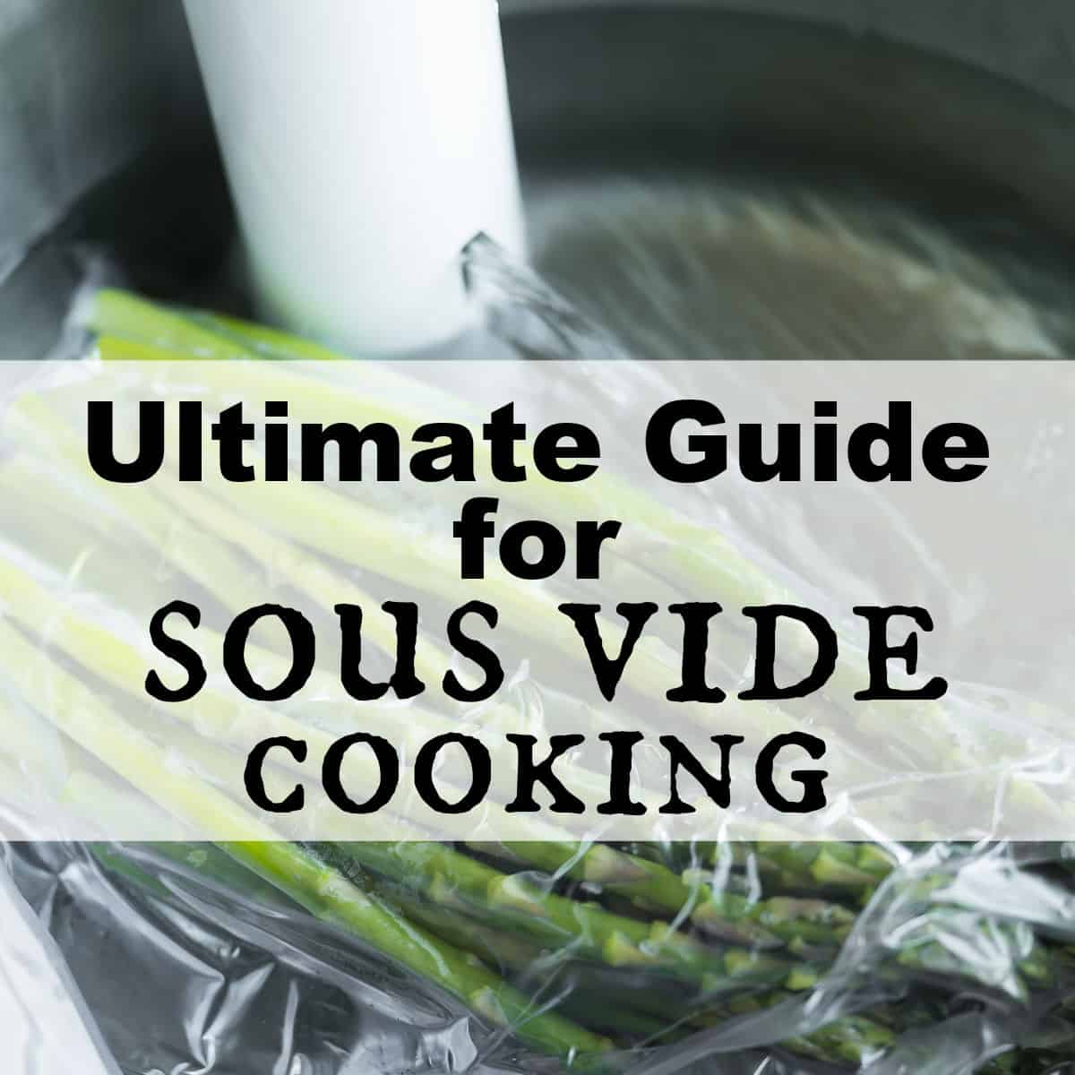 Sous Vide Cooking Guide