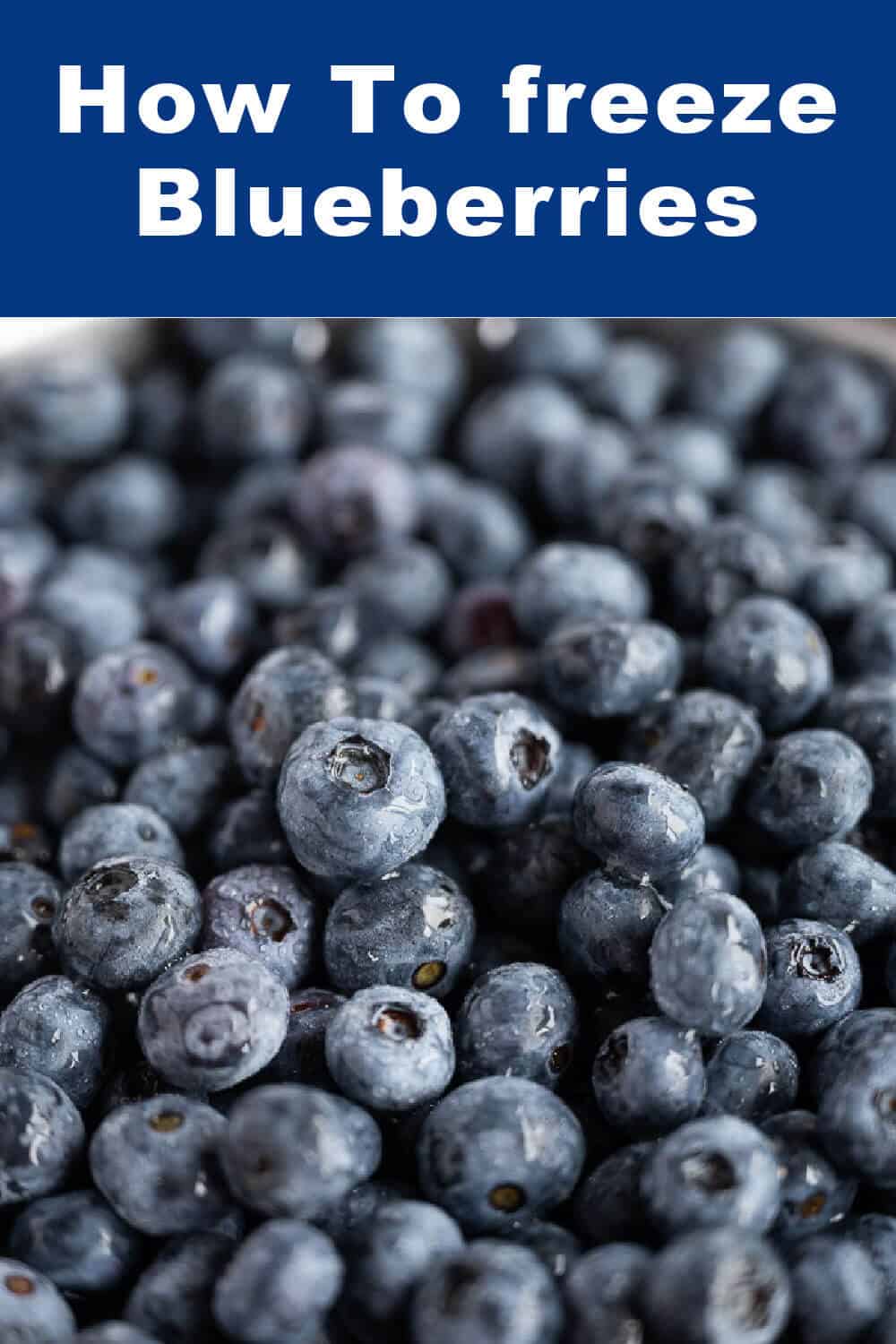 Enjoy blueberries when they are in season and enjoy them all year! Learn how to freeze blueberries when they are fresh and plentiful- they are the easiest fruit to freeze, there's no cutting stems off, peeling, or slicing. via @artfrommytable