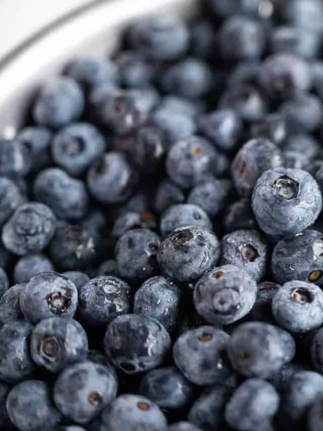 How to Freeze Blueberries Story