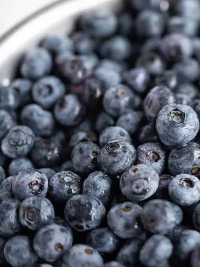 cropped-How_To_Freeze_Blueberries_-1.jpg