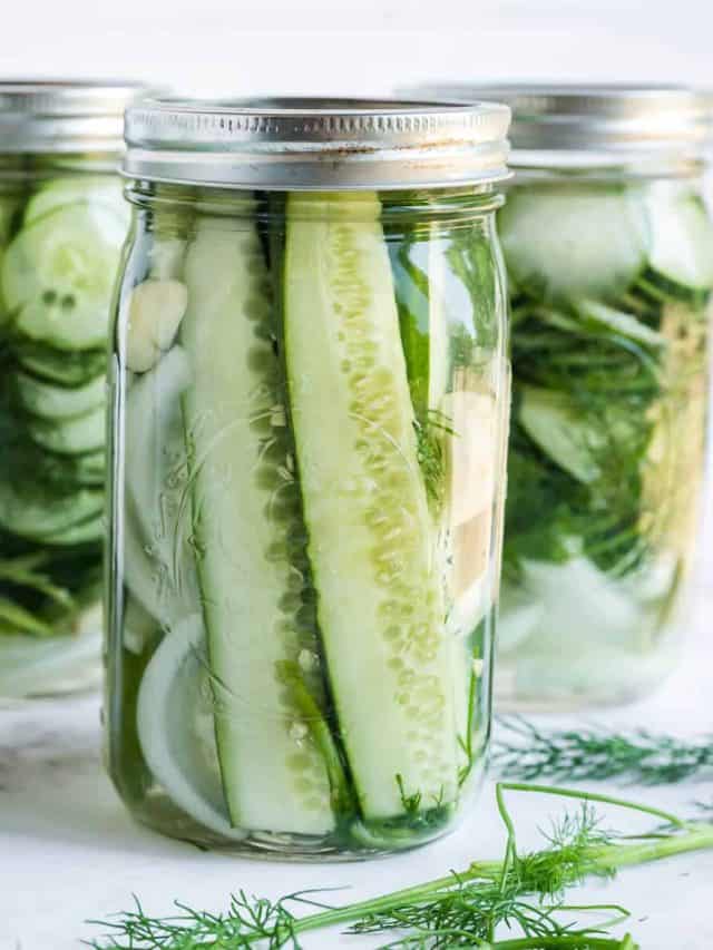 OVERNIGHT REFRIGERATOR PICKLES STORY