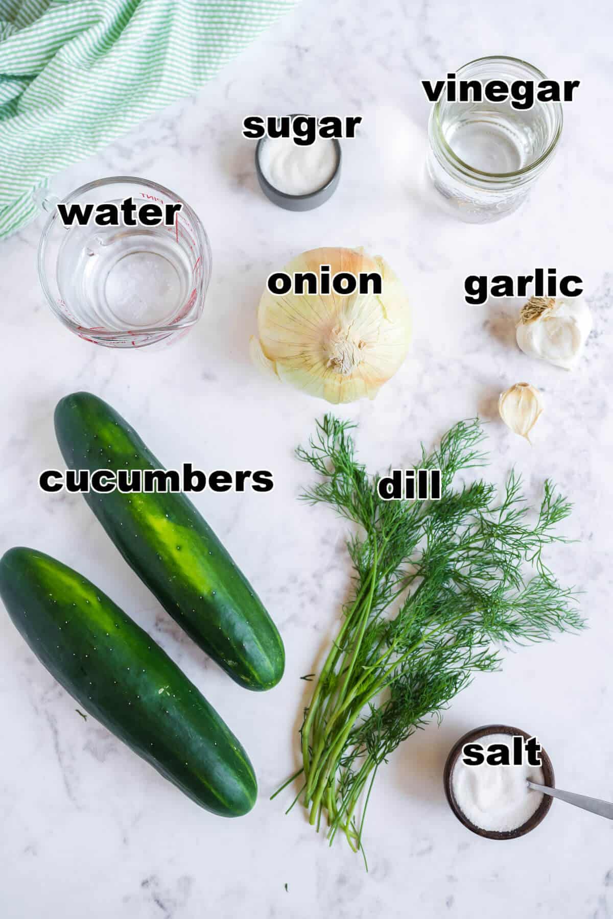 ingredients to make overnight pickles: cucumbers, onion, dill, garlic, water, vinegar, salt, and sugar
