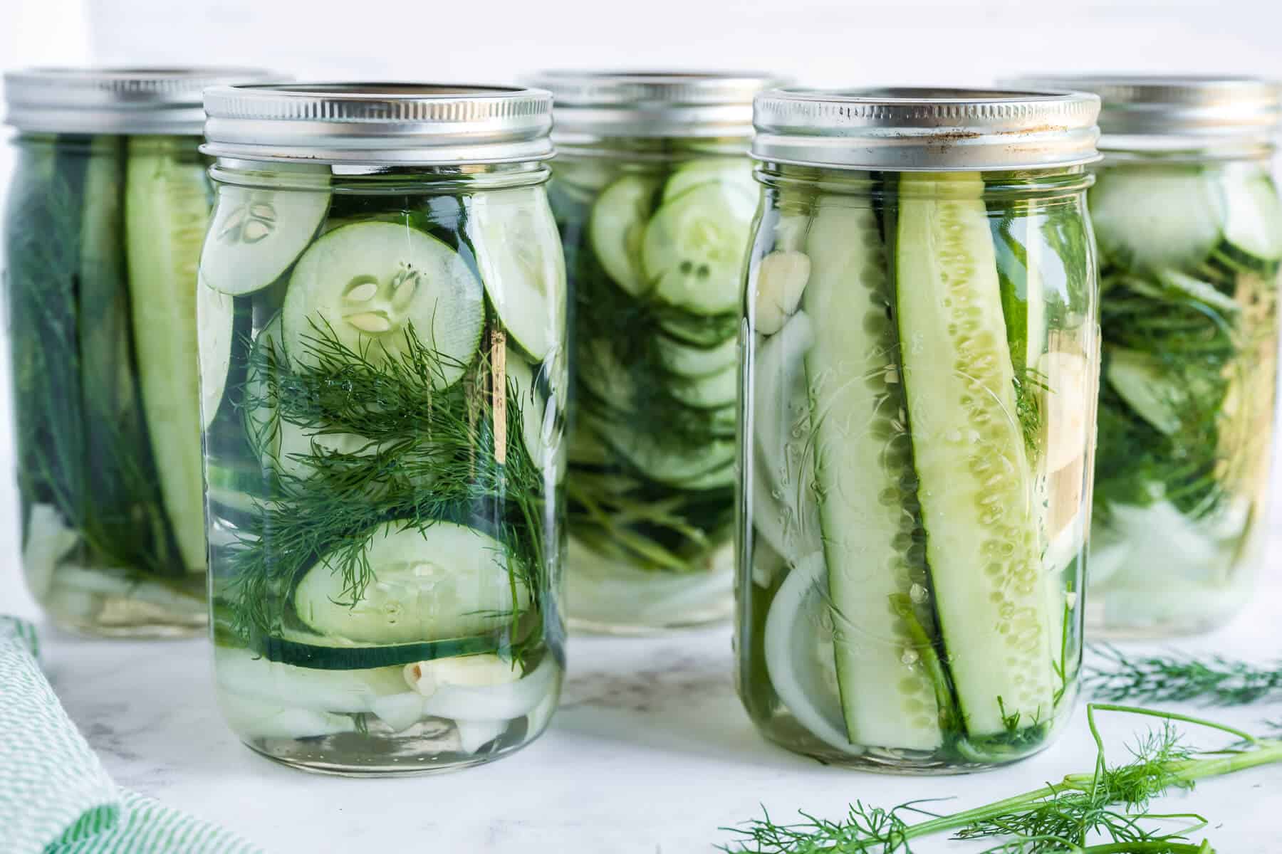 Several mason Jars overnight pickles, green towel along side and some sprigs of dill in the foreground.