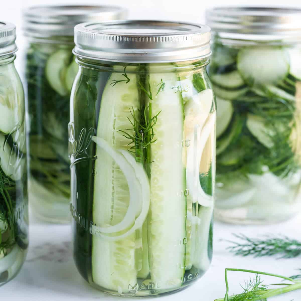 Jars of overnight pickles, fresh dill in the foreground.