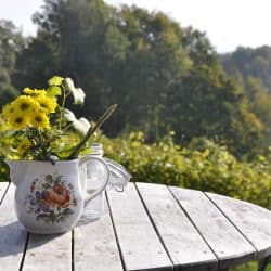 Rustic wood table outside with a vase of flowers on it. Surrounded by trees and nature.