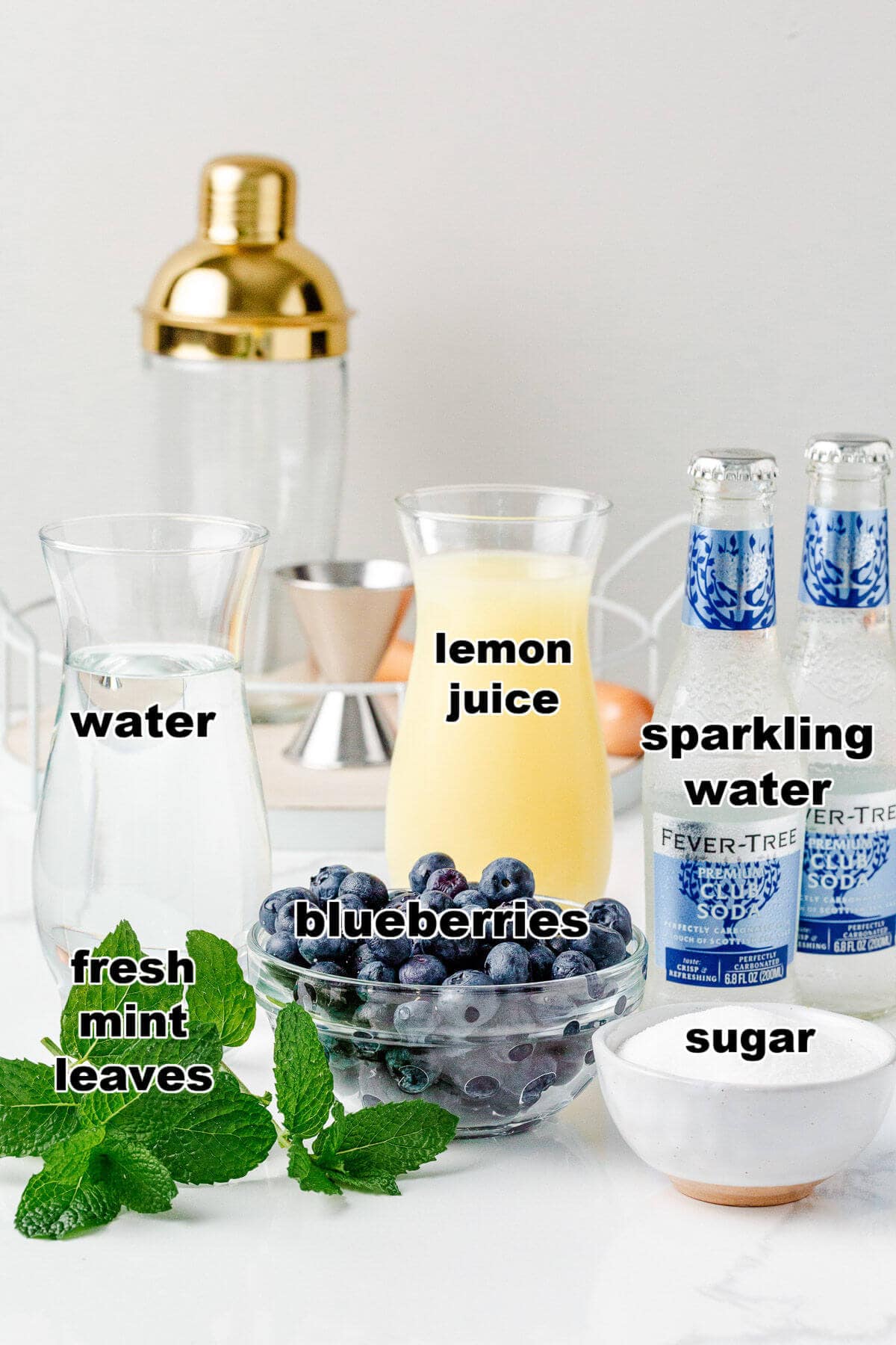 Ingredients to make a Blueberry Mint Mocktail. Fresh blueberries, fresh mint, sugar, lemon juice, and sparkling water.
